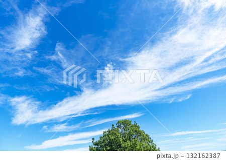 青空と雲と木立 132162387