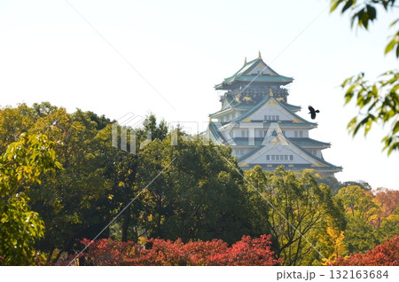 極楽橋付近から見た「大阪城の天守閣」(大阪府大阪市) 極楽橋付近から見た「大阪城の天守閣」(大阪府大阪市) 132163684