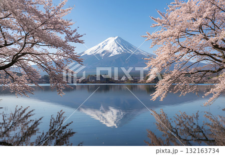 春の富士山と満開の桜 — 湖畔に映る絶景風景 132163734