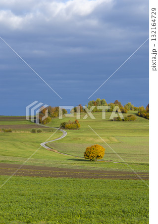 Rural autumn landscape with winding path, Kottes Purk, Austria 132164729