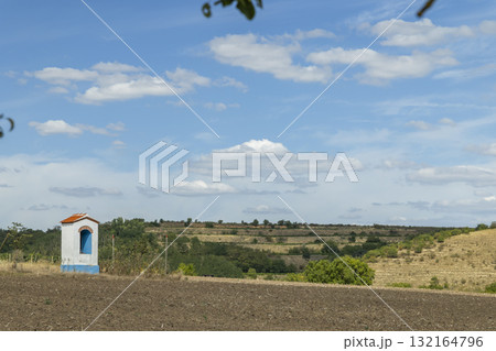 Village shrine standing in field with vineyard landscape Vrbovec Czechia 132164796