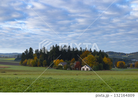 Autumn rural landscape with colorful trees in Grafenschlag, Austria 132164809