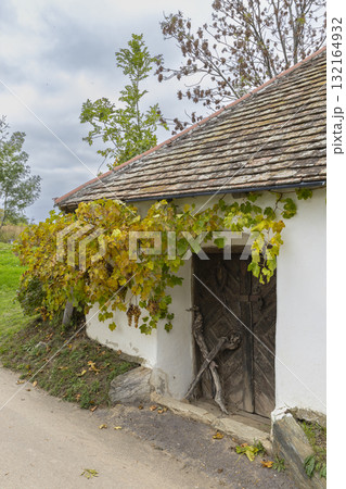 Traditional wine cellar entrance with autumn grapevine in Zellerndorf 132164932