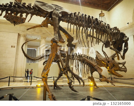 ロサンゼルス自然史博物館の迫力恐竜骨格展示 ロサンゼルス自然史博物館の迫力恐竜骨格展示 132165000
