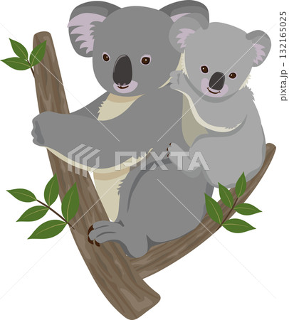 おんぶするコアラ 132165025