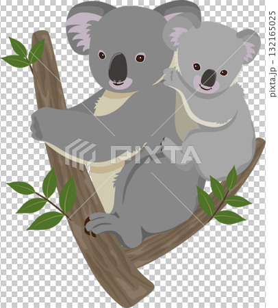 おんぶするコアラ 132165025