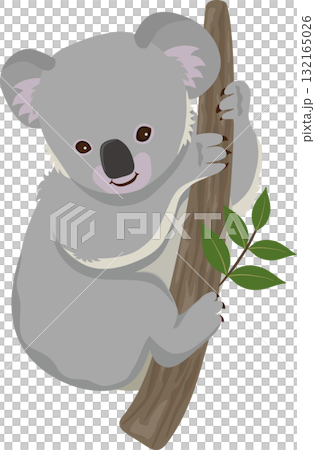 孩子們的考拉 132165026