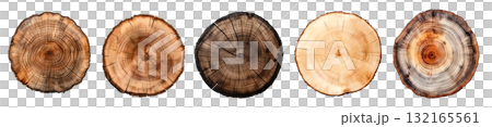 Round wooden tree slice trunk stump wood on transparent background cutout, PNG file. Many assorted different Mockup template for artwork design 132165561
