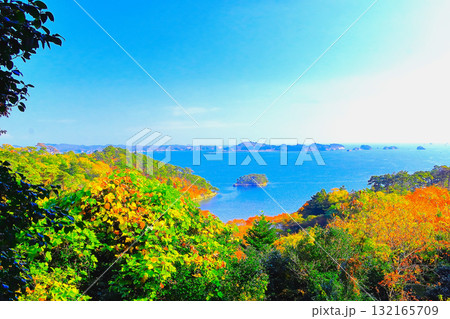 紅葉の扇谷展望台から眺望する青空と松島湾 紅葉の扇谷展望台から眺望する青空と松島湾 132165709
