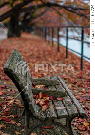 落ち葉の絨毯と古びたベンチ 132165724