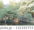 間々田八幡宮　弁天池 132165753