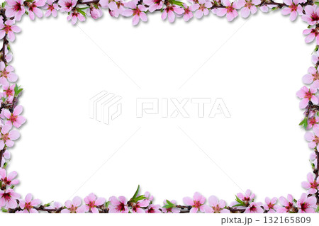 Spring peach twigs in a floral frame isolated on white 132165809