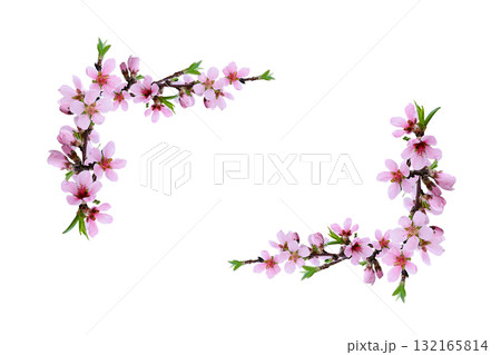 Spring peach twigs in floral corner arrangements isolated on white Spring peach twigs in floral corner arrangements isolated on white 132165814