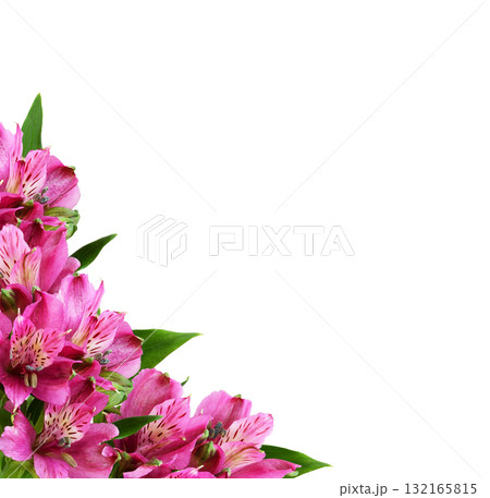 Pink alstroemeria flowers in a floral corner arrangement isolated on white or transparent background Pink alstroemeria flowers in a floral corner arrangement isolated on white or transparent background 132165815