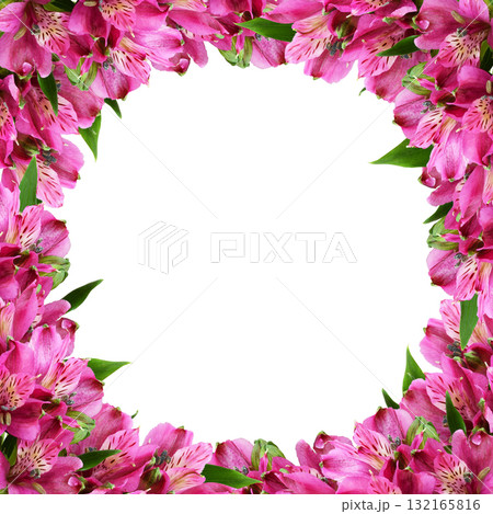 Pink alstroemeria flowers in a floral frame isolated on white Pink alstroemeria flowers in a floral frame isolated on white 132165816