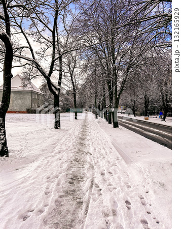 Vertical. Frosty sunny winter day in the city. Winter park landscape, deserted winter alley covered with snow, winter park trees along the walkway Vertical. Frosty sunny winter day in the city. Winter park landscape, deserted winter alley covered with snow, winter park trees along the walkway 132165929