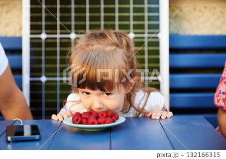 Lovely moment of child eating berries without hands. Daughter having fun with her parents. Little girl eating raspberries on background of solar battery. Lovely moment of child eating berries without hands. Daughter having fun with her parents. Little girl eating raspberries on background of solar battery. 132166315