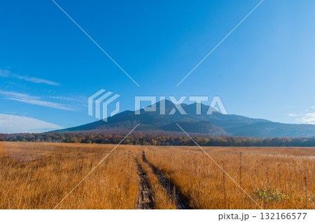燃える秋 紅葉に色づく尾瀬 燃える秋 紅葉に色づく尾瀬 132166577