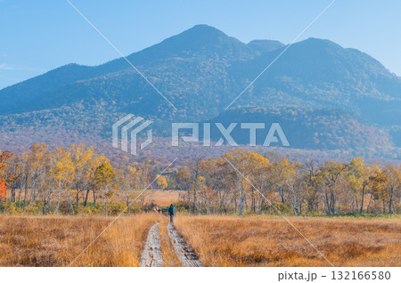 燃える秋 紅葉に色づく尾瀬 燃える秋 紅葉に色づく尾瀬 132166580
