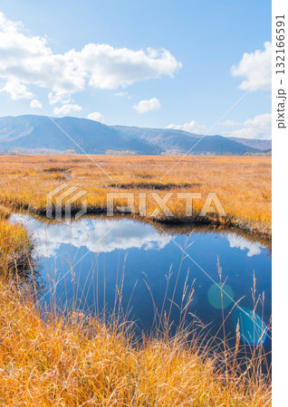 燃える秋　紅葉に色づく尾瀬 132166591