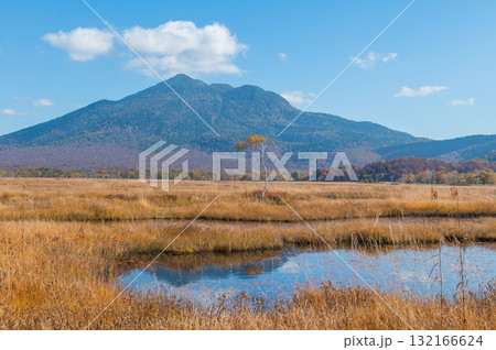 燃える秋 紅葉に色づく尾瀬 燃える秋 紅葉に色づく尾瀬 132166624