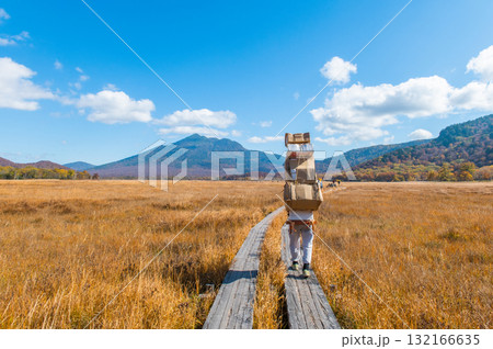 燃える秋　紅葉に色づく尾瀬 132166635