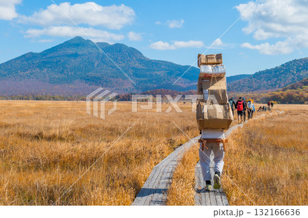 燃える秋　紅葉に色づく尾瀬 132166636