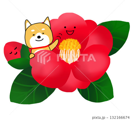 赤いツバキの中でうれしそうに手を振るしばいぬ 132166674
