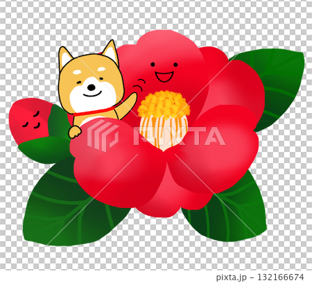 赤いツバキの中でうれしそうに手を振るしばいぬ 132166674