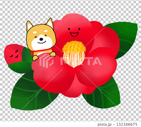 赤いツバキの中でひょっこり顔を出すしばいぬ 132166675