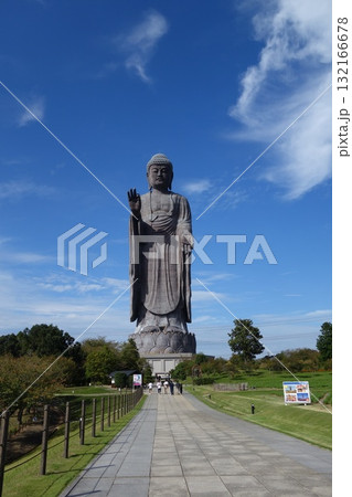 青空と牛久大仏 132166678