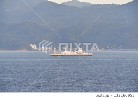 東京湾　浦賀水道　東海汽船　さるびあ丸 132166953