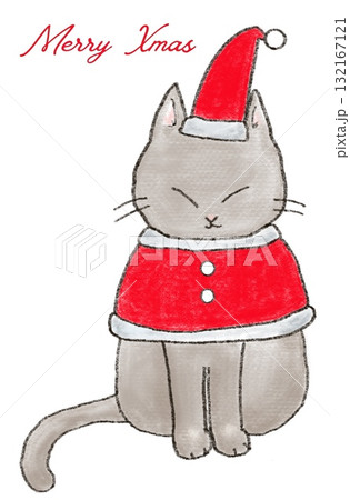 サンタの格好をした猫 サンタの格好をした猫 132167121