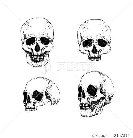 Set human skull full face and profile, whole and half part. Graphic vector line art without background. For Gothic design, Halloween composition, Day of the Dead patterns or Esoteric theme 132167894