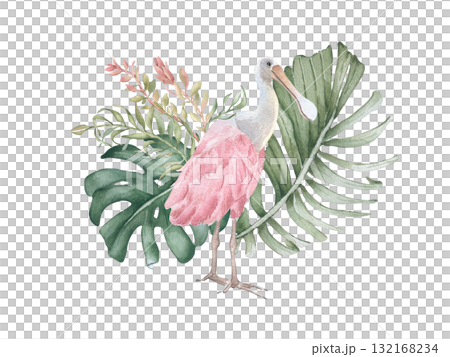 Tropical Watercolor Bird and Foliage illustration isolated. Hand painted pink spoonbill in monstera and areca palms in soft pastel colors. Delicate jungle design for beach print, tropical branding. Tropical Watercolor Bird and Foliage illustration isolated. Hand painted pink spoonbill in monstera and areca palms in soft pastel colors. Delicate jungle design for beach print, tropical branding. 132168234