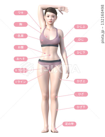 脱毛施術部位の解説イラスト 日本人3Dモデル女性 全身正面 132168498