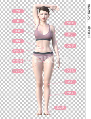 Illustration of hair removal treatment area Japanese 3D model female whole body front Illustration of hair removal treatment area Japanese 3D model female whole body front 132168498