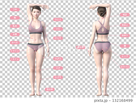 除毛治療部位說明圖集日本3D模型女性全身正面與背面 132168499