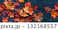 autumn leaves seamless pattern background banner 132168557