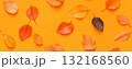 autumn leaves seamless pattern background banner 132168560