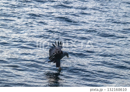 知床　冬 132168610