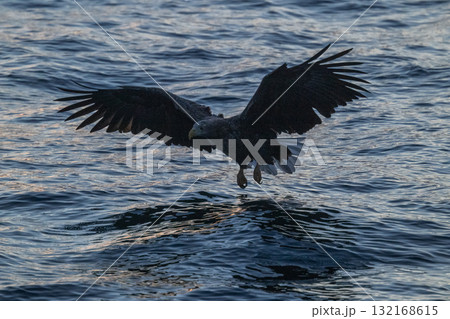 知床　冬 132168615