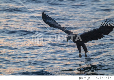 知床　冬 132168617