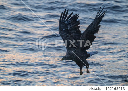 知床　冬 132168618