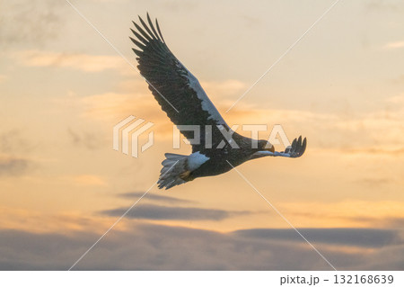 知床　冬 132168639