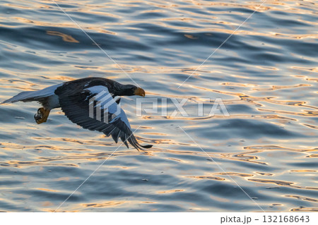 知床　冬 132168643