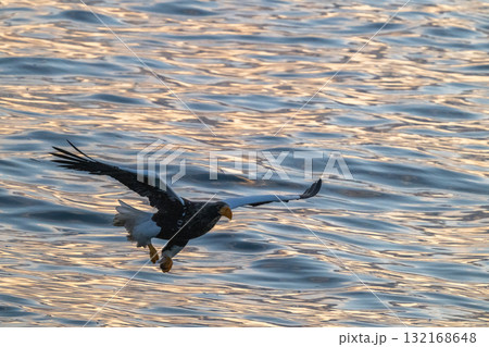 知床　冬 132168648