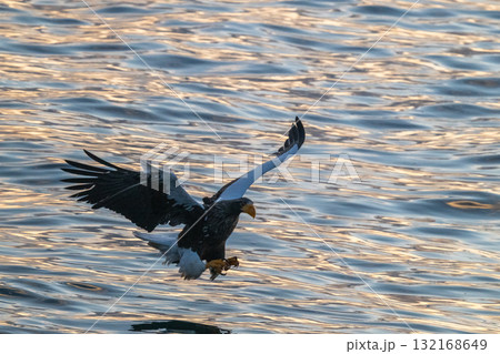 知床　冬 132168649