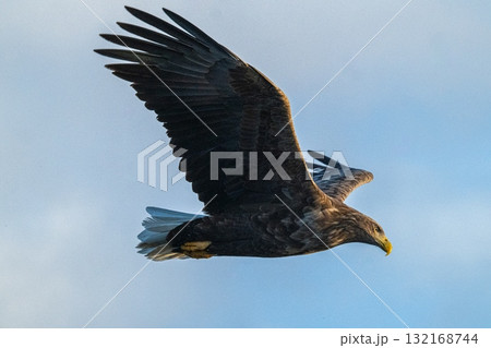 知床　冬 132168744