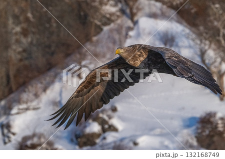 知床　冬 132168749